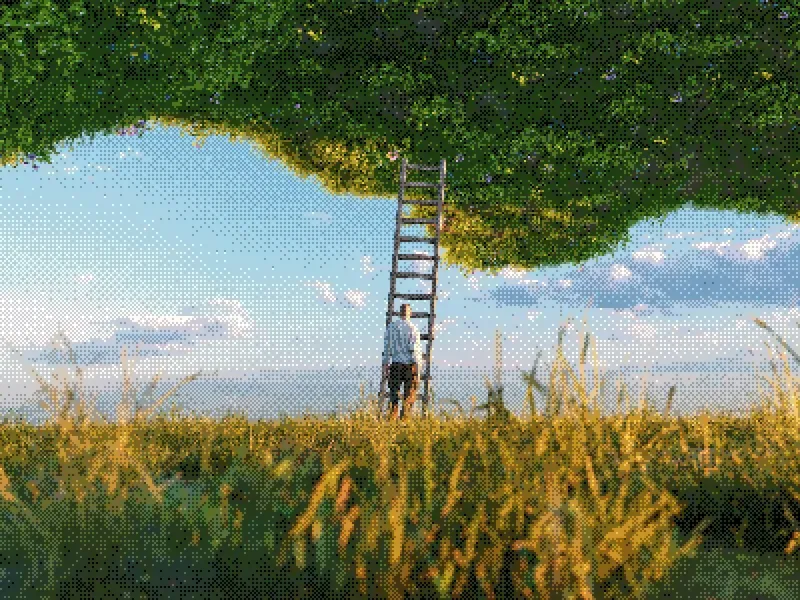 A person stands in a field of tall grass facing a wooden ladder that leans against a mass of green foliage floating in a blue sky