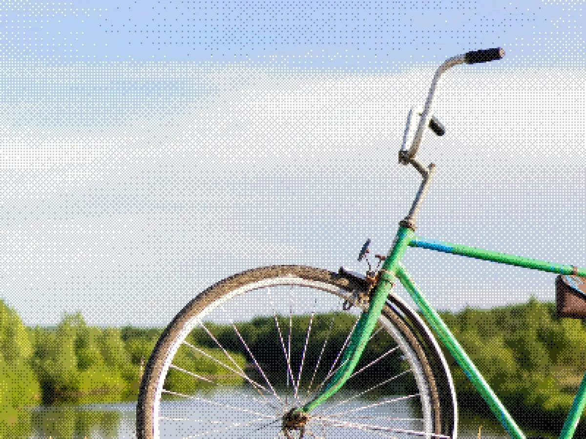 Green bicycle overlooking a lake and tree-lined horizon